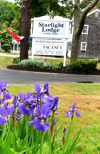 Starlight Lodge Development Group