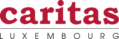 Un/e chargé(e) de la veille sociale et politique, CDI 30-40h